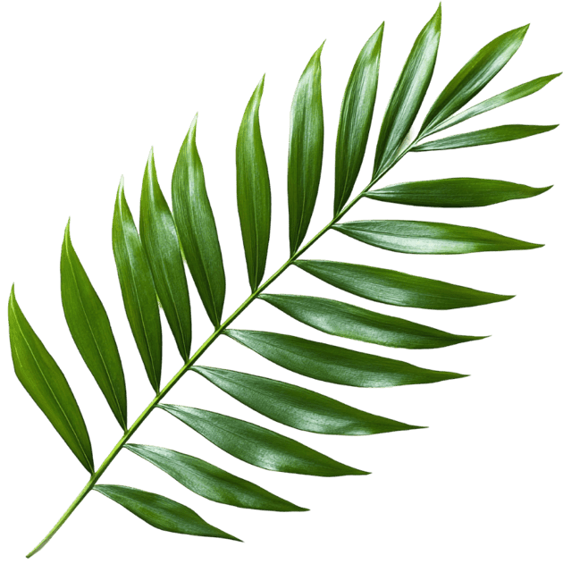 RESTAURANT L'HORIZON Buffet à volonté Le Havre. Les meilleures saveurs du monde, à volonté