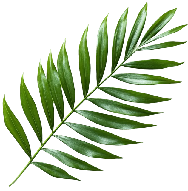 RESTAURANT L'HORIZON Buffet à volonté Le Havre. Les meilleures saveurs du monde, à volonté