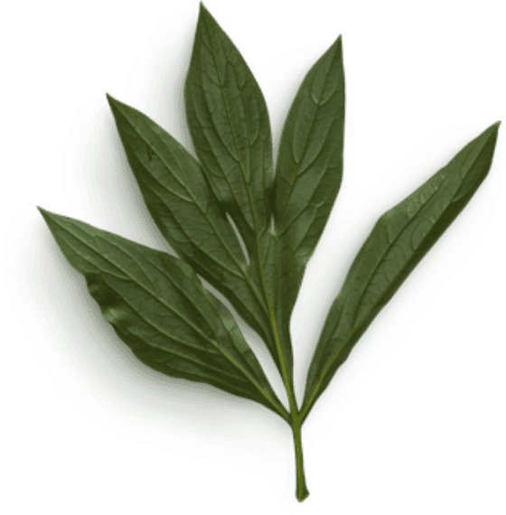 RESTAURANT L'HORIZON Buffet à volonté Le Havre. Les meilleures saveurs du monde, à volonté