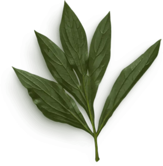 RESTAURANT L'HORIZON Buffet à volonté Le Havre. Les meilleures saveurs du monde, à volonté