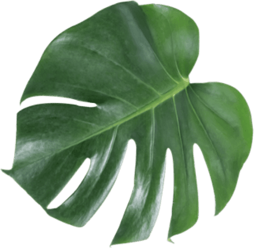 RESTAURANT L'HORIZON Buffet à volonté Le Havre. Les meilleures saveurs du monde, à volonté