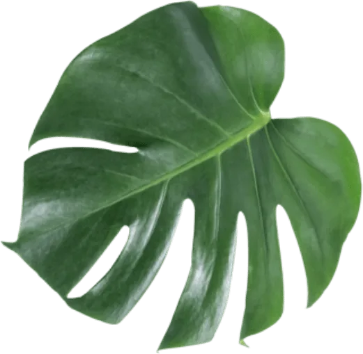 RESTAURANT L'HORIZON Buffet à volonté Le Havre. Les meilleures saveurs du monde, à volonté