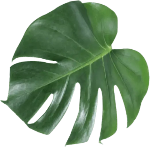 RESTAURANT L'HORIZON Buffet à volonté Le Havre. Les meilleures saveurs du monde, à volonté